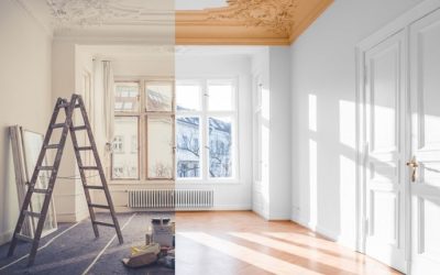 Guide pour Des Travaux Réussis lors d’un Déménagement avec l’Implication d’Artisans Locaux